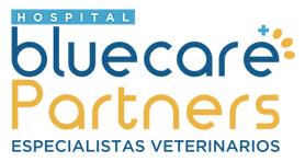 Bluecare Partners